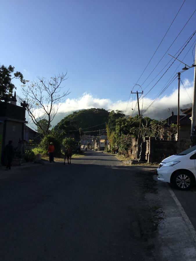 The Villa'S Kubu Sandan Kintamani Exterior foto